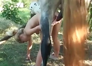 Violent action with a black stallion