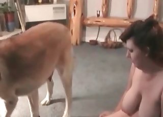 Hairy big mutt is enjoying zoophilia