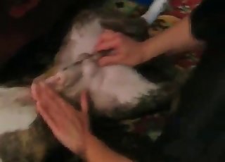 Sexy puppy is munching so hot