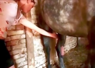 Hete grijze hengst beukt op haar kutje