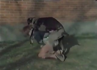 ज़ूफ़ाइल को बाहर चोदा जा रहा है