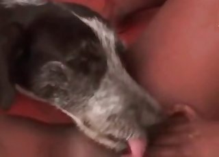 Astonishing slut and her doggy