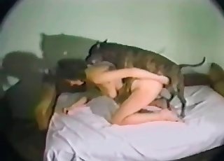 Hound is so freaking playful dog