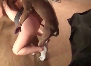 Busty girl is enjoying animal sex