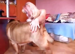 Ekstremt het behandling for en frekk hund