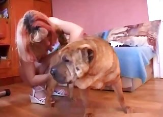 کنکی کتے کے لیے انتہائی گرم علاج