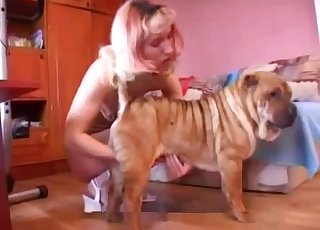 Erittäin kuuma kohtelu pervolle koiralle