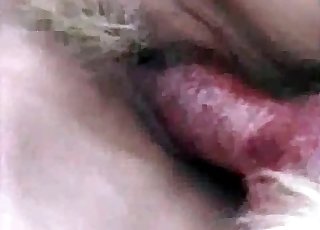 Impressive outdoor bestiality action