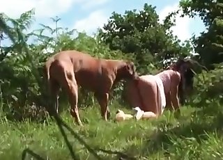 She teases this dog on all fours