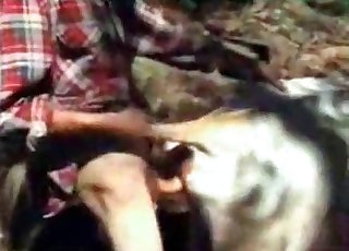 Guy’s tiny dick licked by a cow