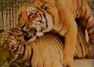 Small and pointy dick of a farm animal