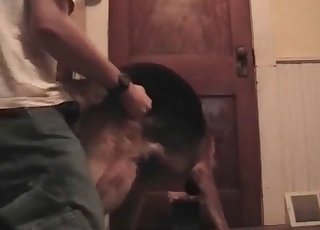 Dude eagerly screws his horny dog