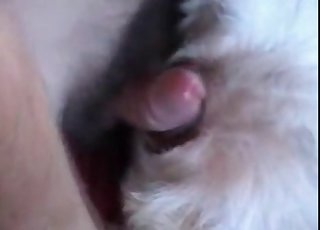 Dude fingering and fucking that hole