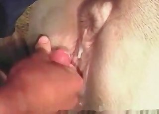 Impressive action with a sexy horse