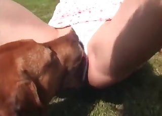 Cute dog licks her snatch with pleasure