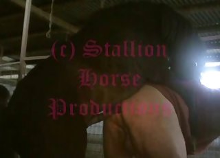 Impressive action with a horny dog