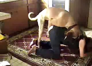 Beautiful dog fucked her wet hole