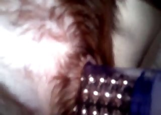 Sticking a huge dildo in a tight dog anus