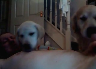 Dog showing its blowjob skills