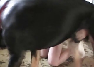 The most violent kind of bestiality sex