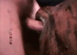 كلب قذر على وشك أن يُشوى بالبصاق