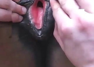 Fucking this slutty horse from behind