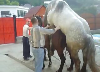 Trained animal and crazy zoophile having sex