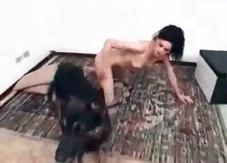 Perfectly hot chick in amazing dog bestiality