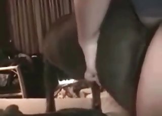 लड़का अपनी सेक्सी कुतिया को हिंसक तरीके से चोद रहा है