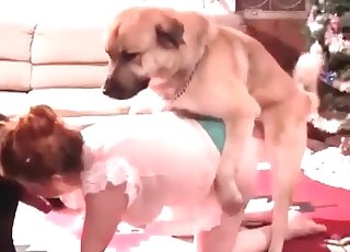 Awesome dogs are drilling her cracks