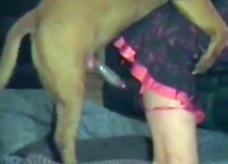 Crossdresser-looking zoophile gets fucked