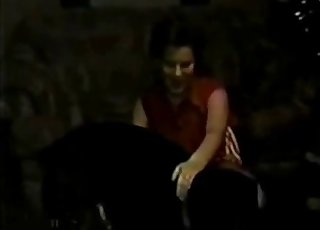 Glamour brunette fucked by big black dog