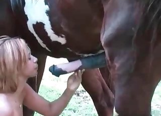 Big-dicked horse gets a passionate handjob