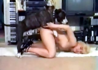 Doggy style fucking with a beefy doggo