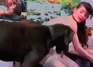 Doberman enjoying rough sex session