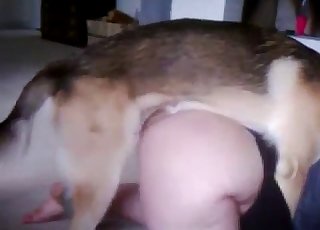 Trained shepherd pounds her wet tight hole