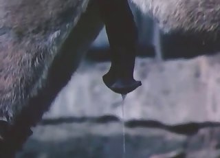 Close-up action, fantastic bestiality