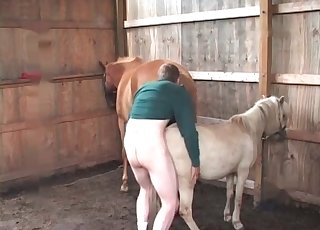 Fucking amazing pony in doggy style pose