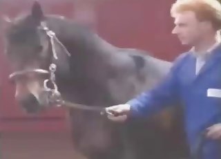 Watching two kinky beasts bang hard