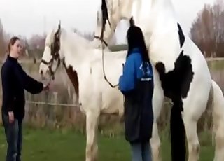 Amazing outdoors action with a horse
