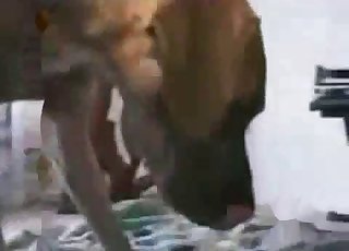 Ass fucked hard by nasty pointy boner