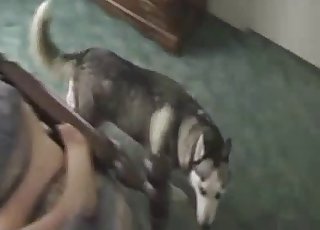 White doggy penetrated in missionary pose