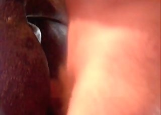 Dude fucking this animal from behind