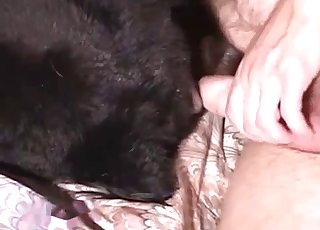Sideways sex with a black doggo