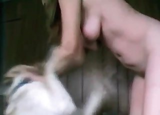 Busty babe getting obliterated