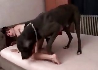 Black Doberman only cares about sex