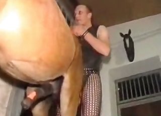 Big stallion dick looks so impressive