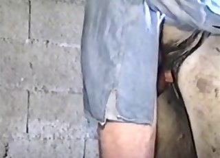 이 섹시한 농장 동물을 엿먹는 놈