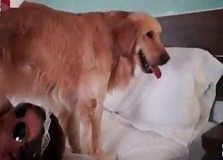 Leggy young girl takes this meaty cock