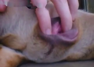 Teasing that animal's hot pussy